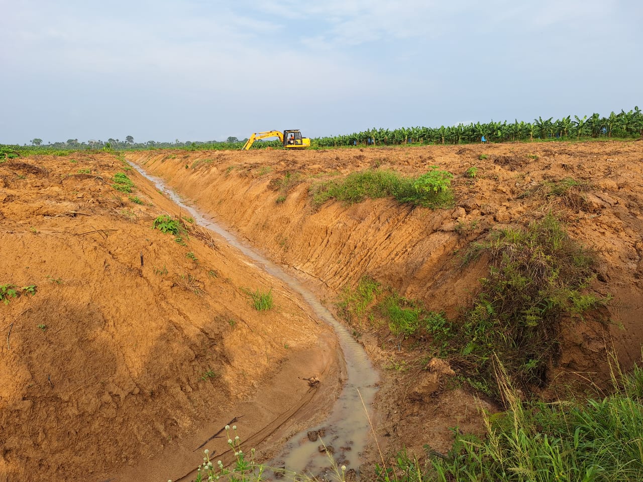 Travaux Agricoles - Drainage, Sous-solage et Andainage IVEQI