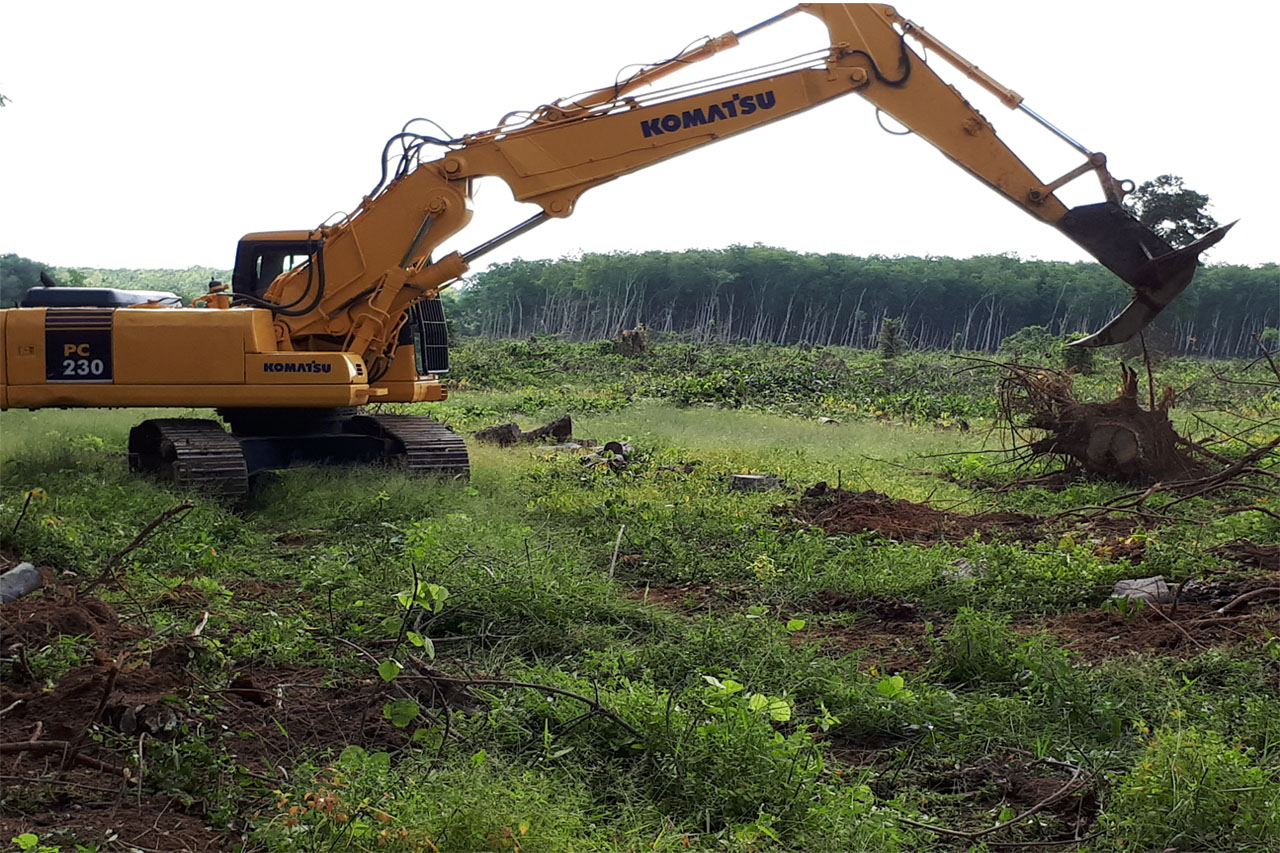 Travaux agricoles IVEQI