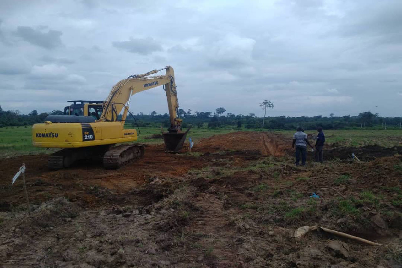 Travaux Agricoles - Drainage, Abattage et Andainage IVEQI
